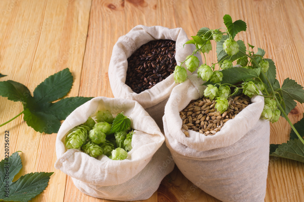 Cones of hops and pale caramel, chocolate malt in bags on wooden background. top view, closeup. Ingredient in beer industry. Craft beer brewing from grain barley malt. Cones of hops and pale caramel, chocolate malt in bags on wooden background. top view, closeup. Ingredient in beer industry. Craft beer brewing from grain barley malt.