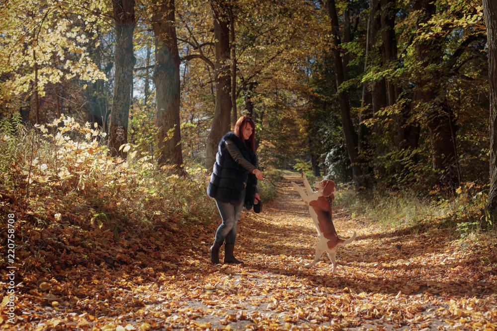 Young beautiful girl playing with a dog in the park. Young beautiful girl playing with a dog in the park.