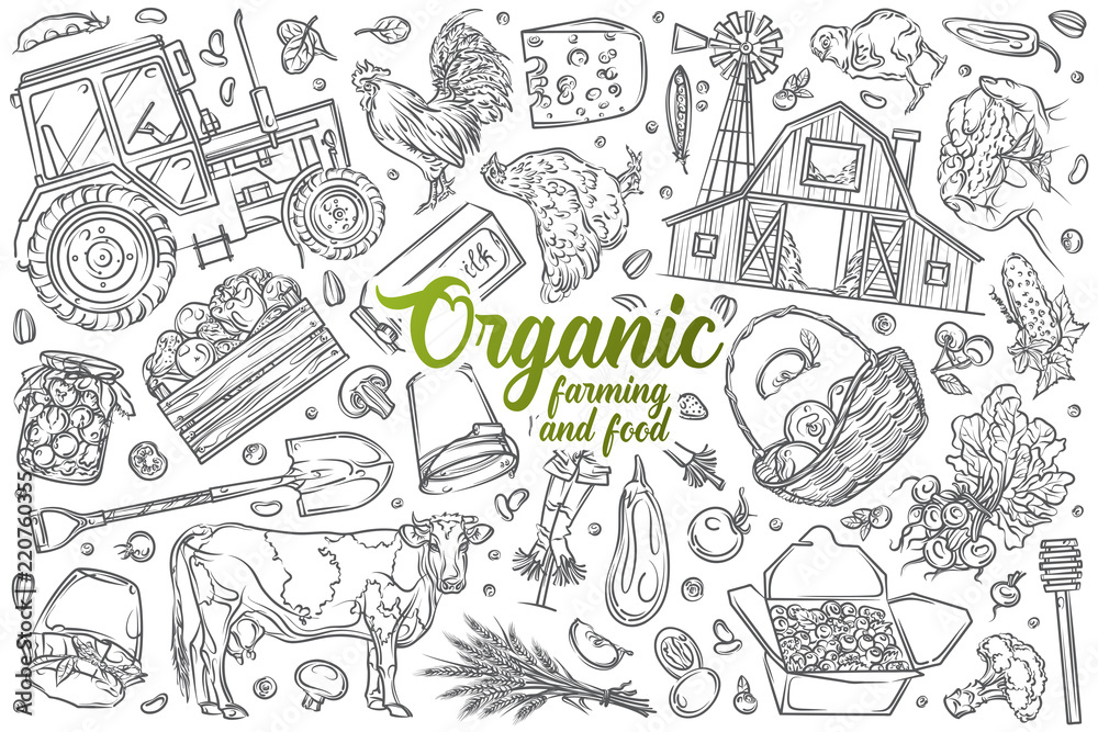 Hand drawn organic farming and food set doodle vector background
