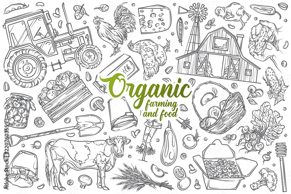 Hand drawn organic farming and food set doodle vector background Hand drawn organic farming and food set doodle vector background
