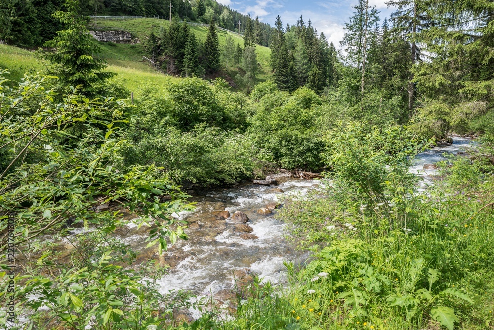 Gebirgsbach im Thomatal - Bundschuh, Österreich Gebirgsbach im Thomatal - Bundschuh, Österreich