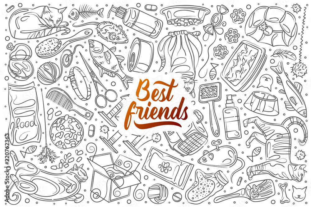 Hand drawn cats are best friends set doodle vector background