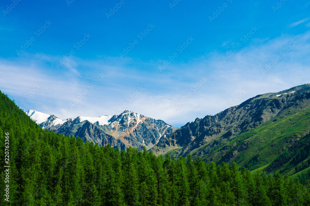 Snowy mountain top behind wooded hill under blue clear sky. Rocky ridge above coniferous forest. Atmospheric minimalistic landscape of majestic nature.