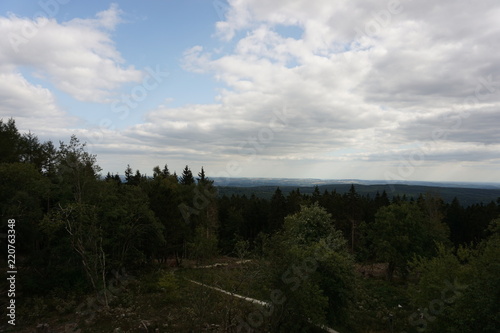 wood
