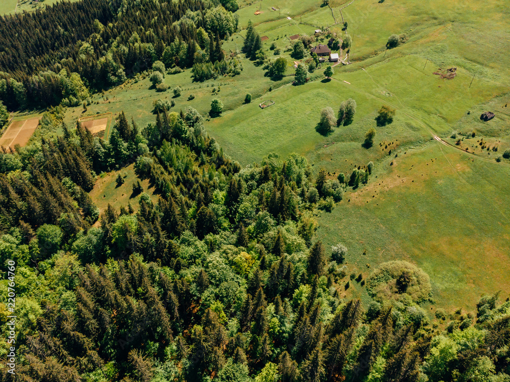 aerial view of forest and fields in arezzo province, Italy