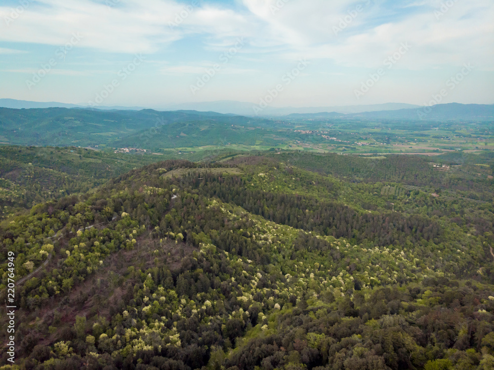 aerial view of beautiful hills with trees in arezzo province, Italy