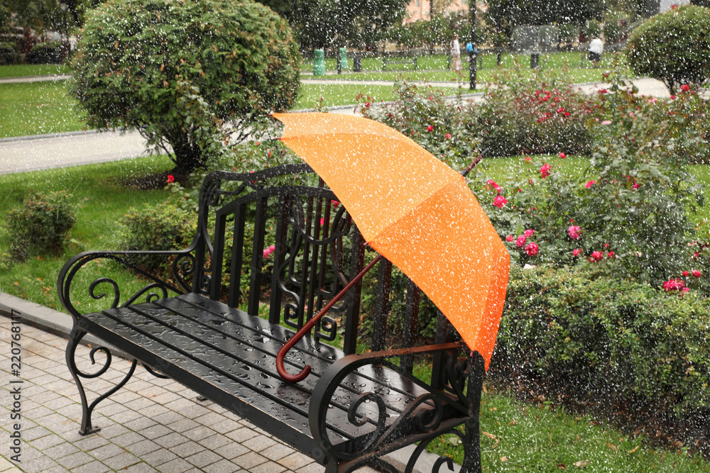 Autumn umbrella on a Park bench