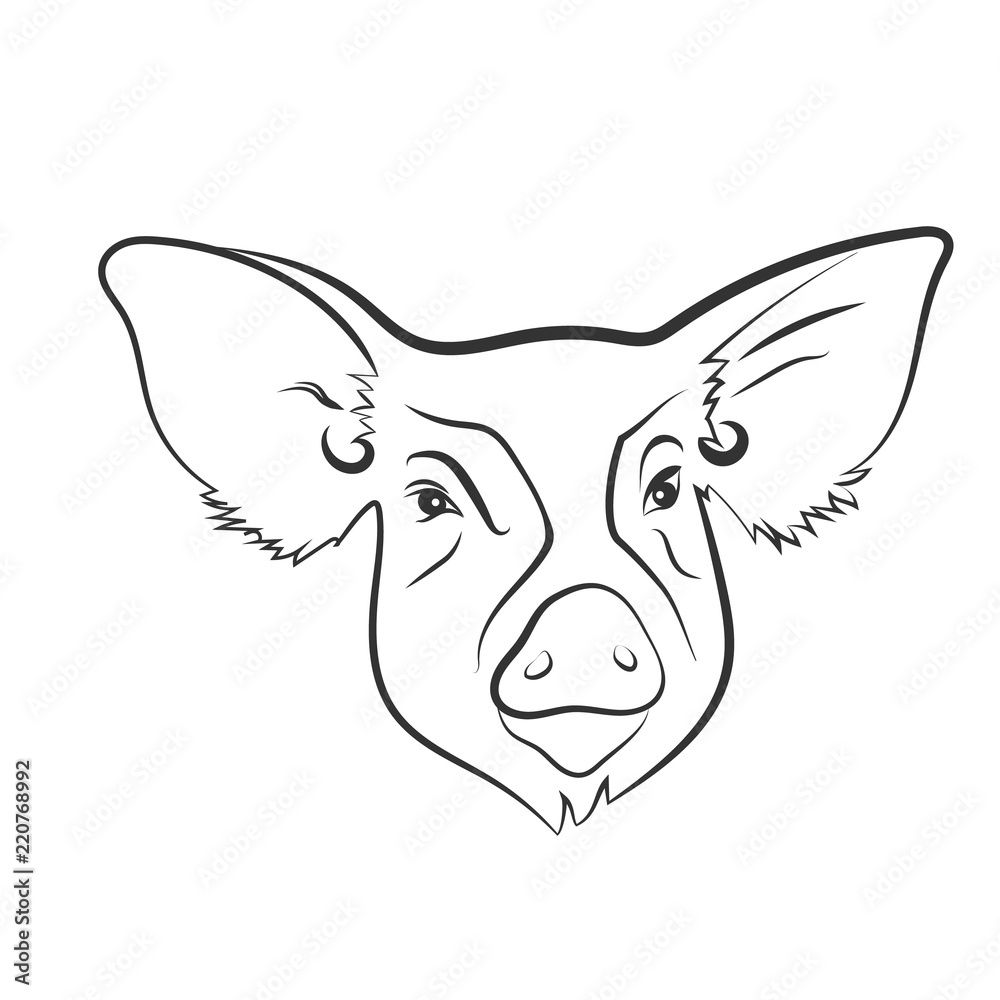 Vector pig head drawn by lines. Piglet as symbol of Chinese zodiac sign