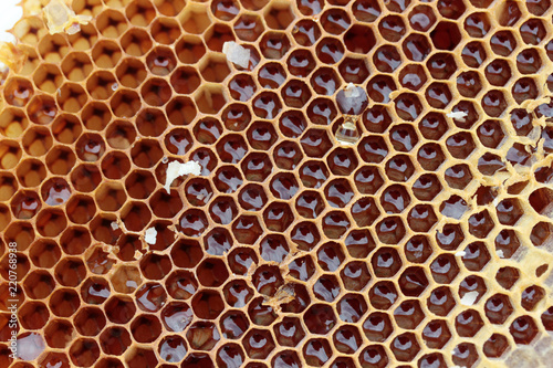 organic and fresh honeycomb