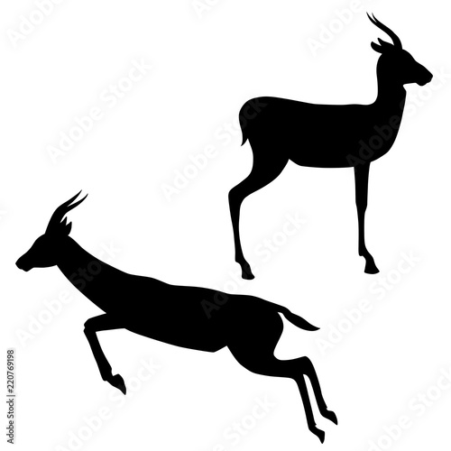 Black silhouettes of standing and running Thomson's gazelles isolated on white background. Vector illustration EPS 8 photo
