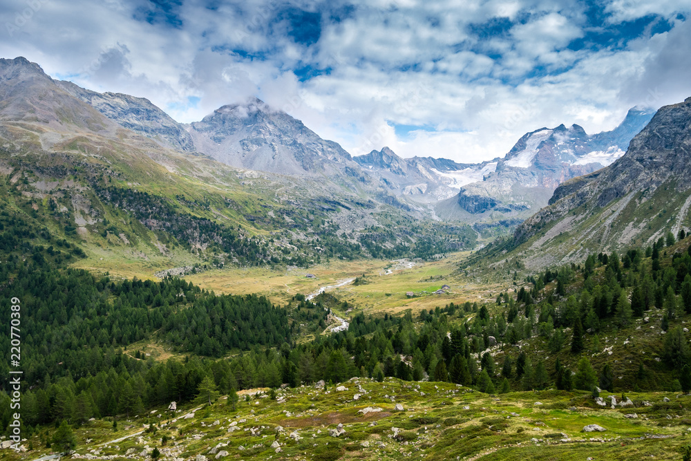 Viola valley,  Stelvio National Park, Alps, Italy