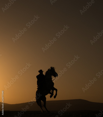 horse, cowboy, at sunset