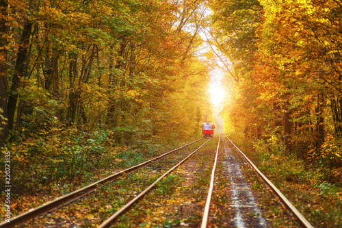 Abandoned railway under autumn colored trees tunnel