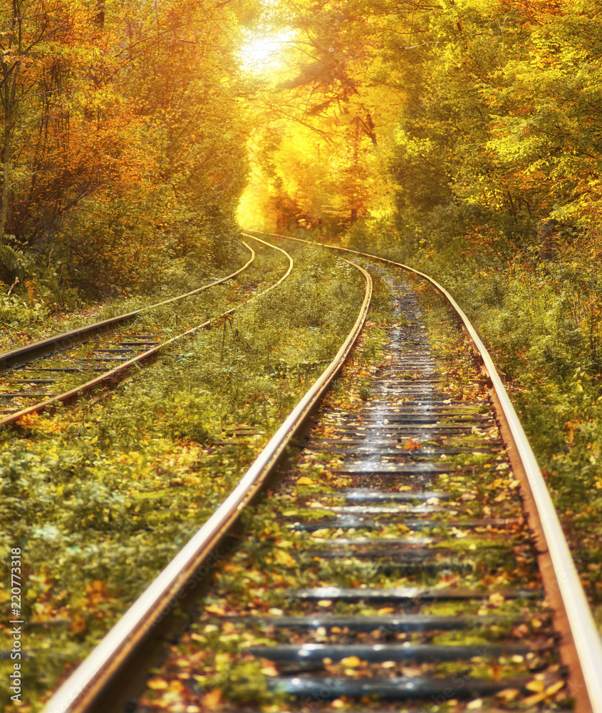 Abandoned railway under autumn colored trees tunnel Abandoned railway under autumn colored trees tunnel