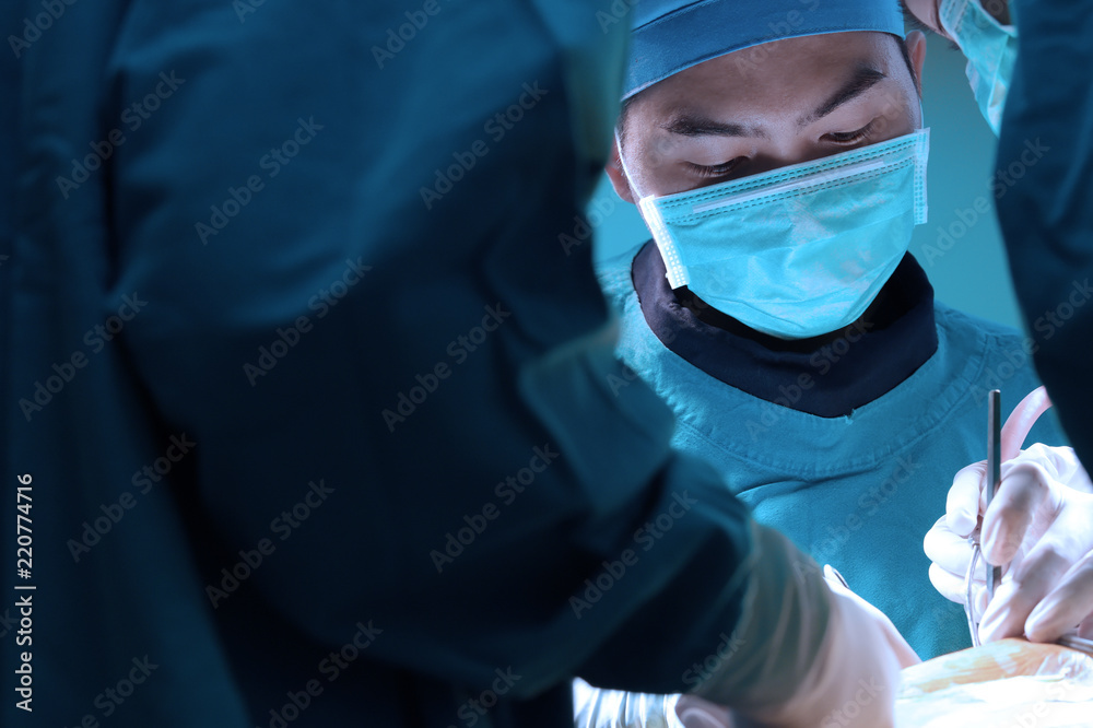 veterinarian surgery in operation room take with art lighting and blue filter veterinarian surgery in operation room take with art lighting and blue filter