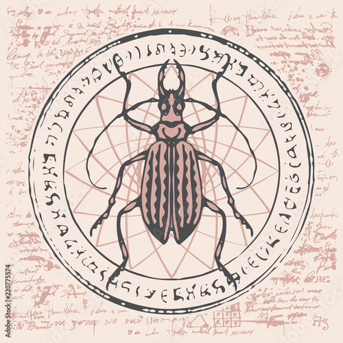 Illustration of a beetle on an abstract background of old papyrus or a manuscript with spots, circle, star, magical inscriptions and symbols. Vector banner in retro style