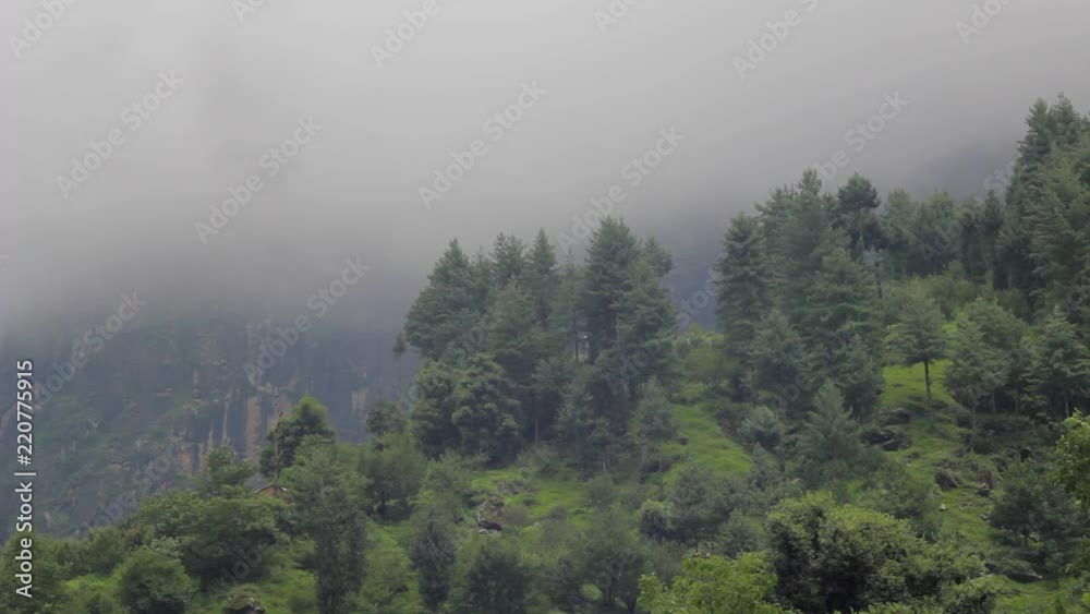 cloud on the green forest on the hill cloud on the green forest on the hill