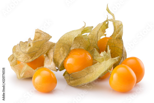 Obraz na plátně physalis isolated on a white background