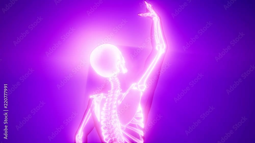 human skeleton radiography medical scan human skeleton radiography medical scan