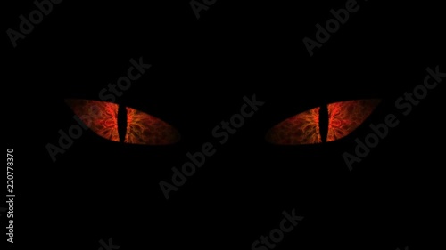 Orange cat eyes blinking Loop.