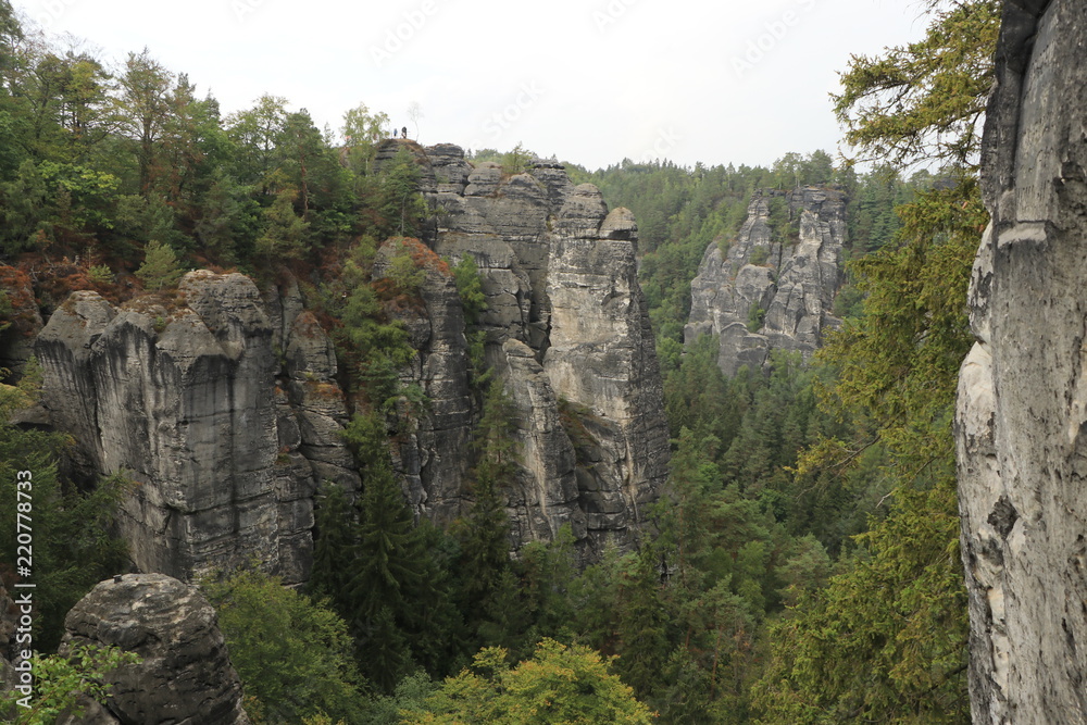 beautiful mountain landscape in Saxon Switzerland. tall green trees among gray mountain rocks on the background of the river