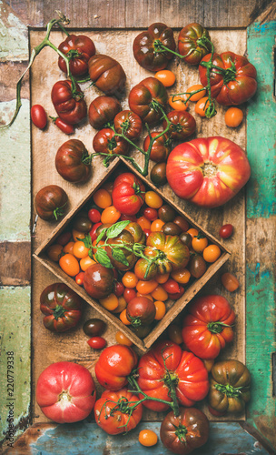 Flat-lay of fresh colorful ripe Fall or Summer heirloom, bunch and cherry tomatoes veriety on tray over painted rustic wooden background, top view, vertical composition. Local market seasonal produce