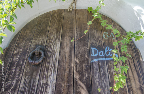 wood door stromboli dali photo