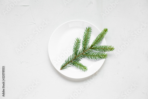 A plate with a fir tree branch, top view
