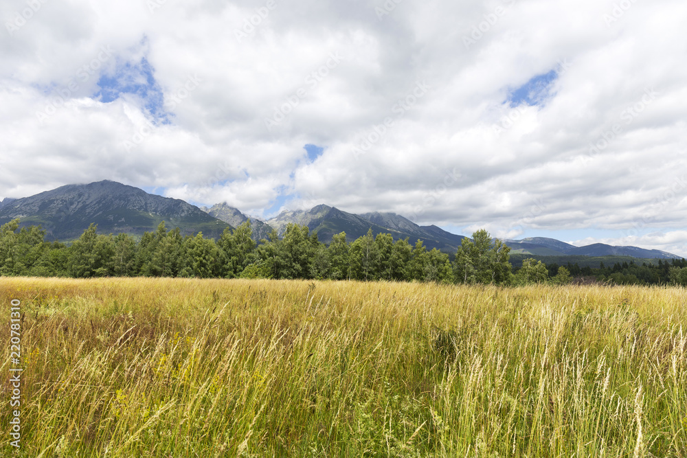 View on mountain Peaks and alpine Landscape of the High Tatras, Slovakia