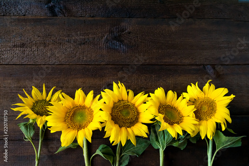 Fototapeta Naklejka Na Ścianę i Meble -  Bright yellow sunflowers on natural rustic texture wooden board. Mockup banner with flowers of the sunflower on dark background with copy space. Autumn harvest, abundance, natural products concept