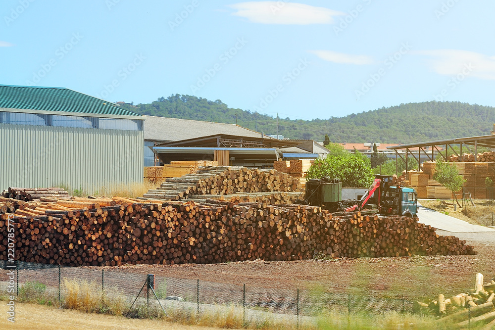 logging before processing