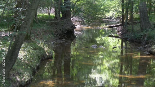 Beautiful creek in the woods2 4K photo