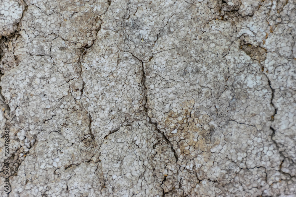 Old foam covered with cracks, dirt and mold. Old foam covered with cracks, dirt and mold.