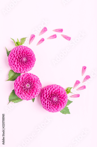 Fototapeta Naklejka Na Ścianę i Meble -  Dahlia ball-barbarry flowers and petals with green leaves and buds - top view on pink bright summer blooms.