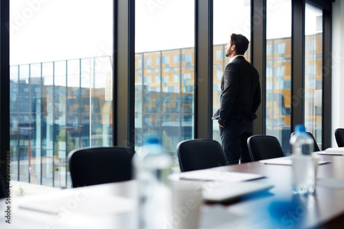 фотографія Back view portrait of successful businessman standing by window and looking outs
