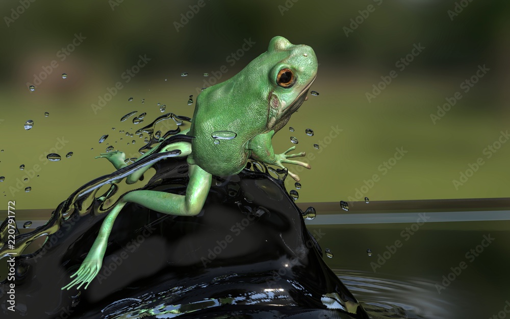 Little water on sale frogs