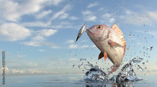 Bilde på lerret Pargus Snapper out of sea jumped for lure jig bait, great sea view