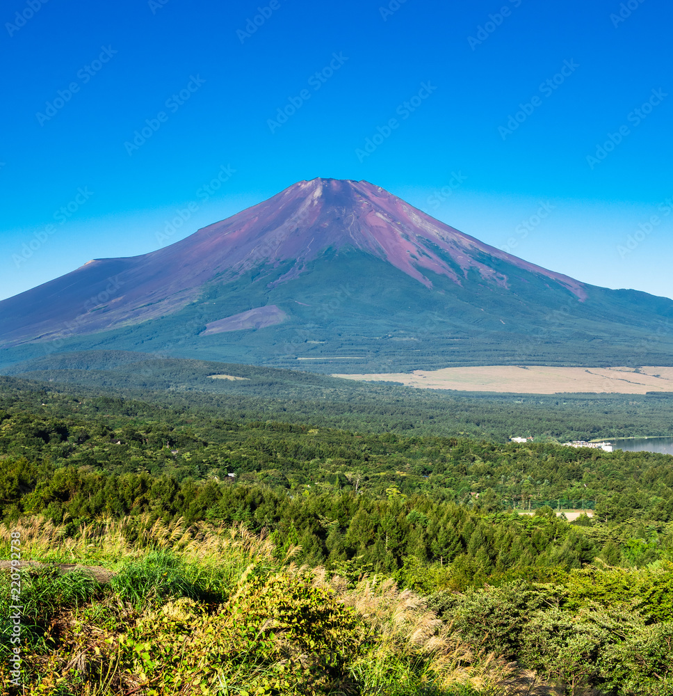 山中湖畔から眺める富士山 山中湖畔から眺める富士山