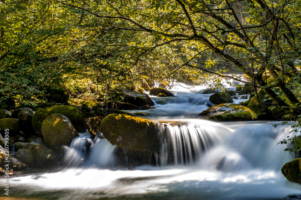 Torrente di montagana