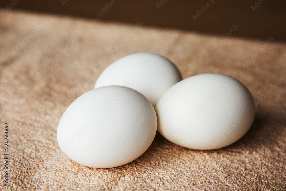 white chicken eggs on a brown towel white chicken eggs on a brown towel