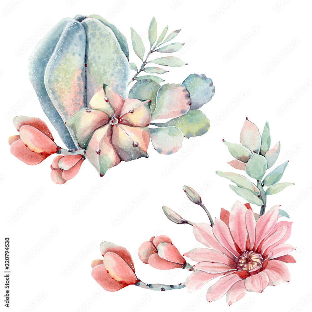 Obraz Watercolor succulents set in vintage style.