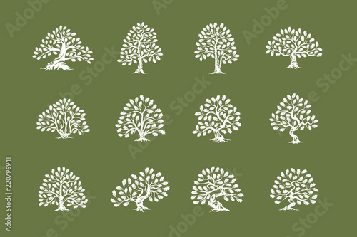 Huge and sacred oak tree plant silhouette logo isolated on green background set.