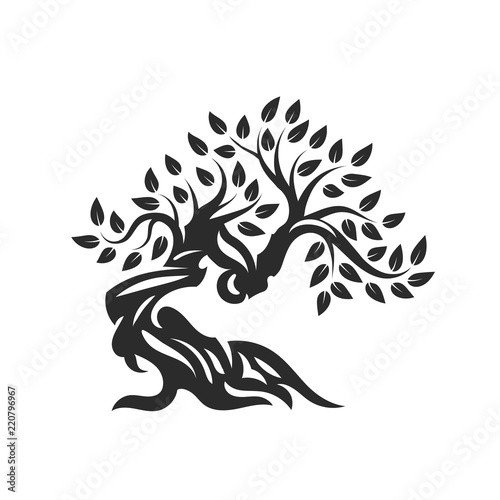 Organic natural and healthy olive tree silhouette logo isolated on white background.
