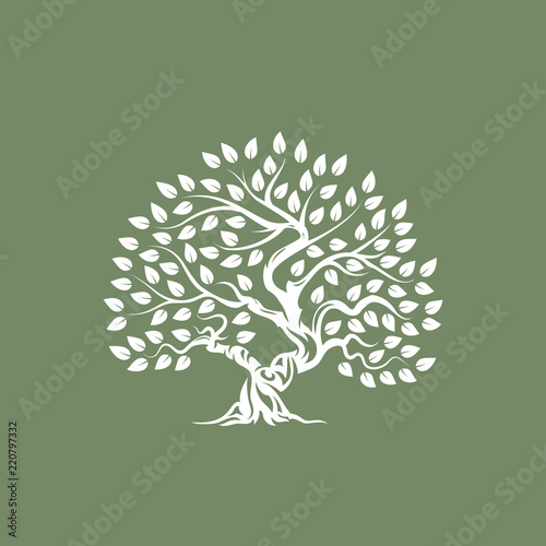 Organic natural and healthy olive tree silhouette logo isolated on green background.