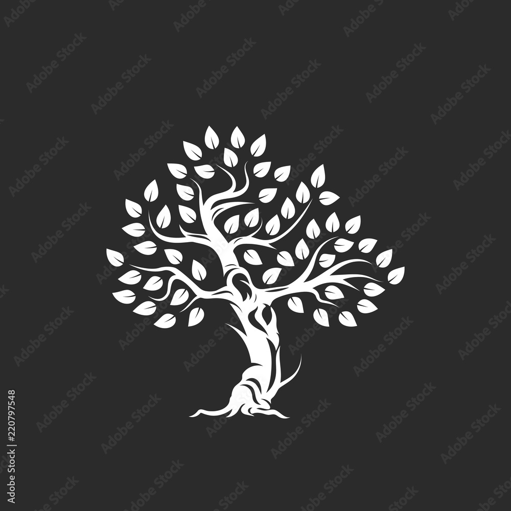 Organic natural and healthy olive tree silhouette logo isolated on dark background. Organic natural and healthy olive tree silhouette logo isolated on dark background.