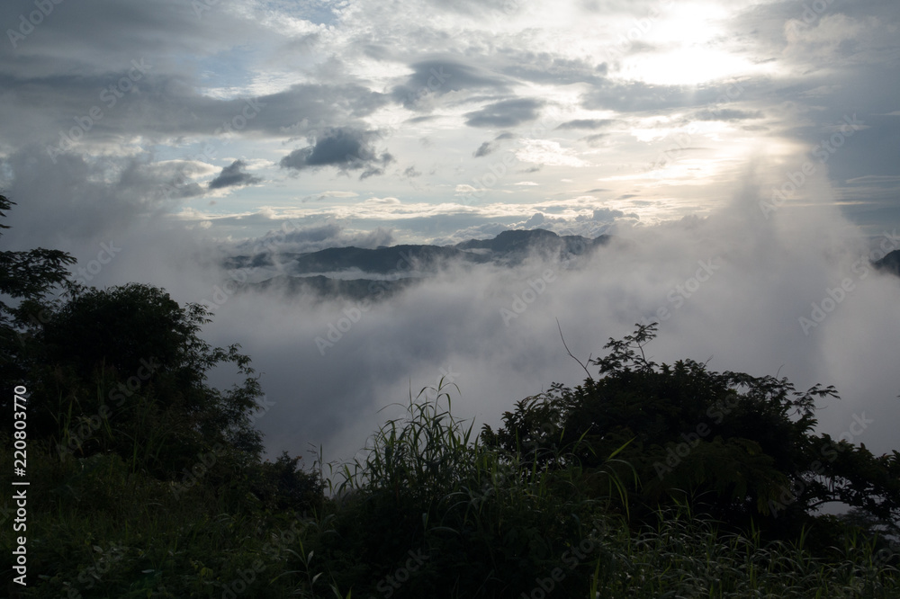 Tea farm landscape from the mountain with rainy cloudy sky in rain season in Northern Thailand