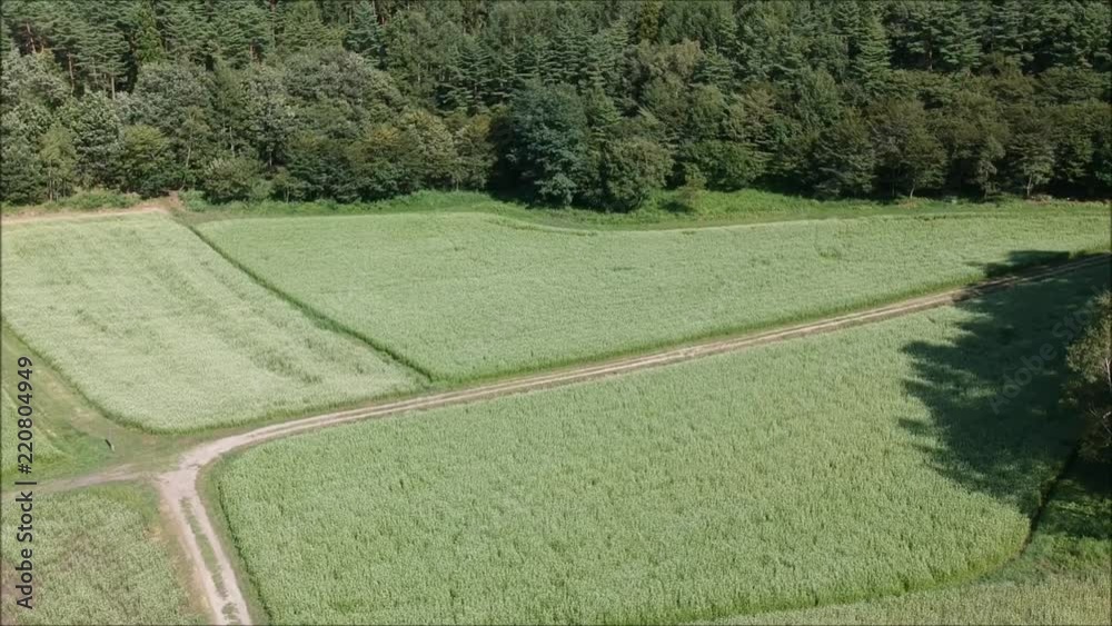 中山高原のそば畑