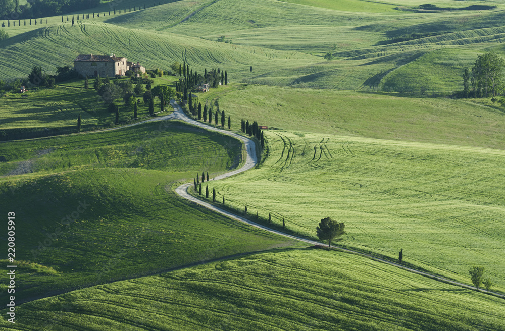 idyllic Landscape in Pienza, Tuscany, Italy