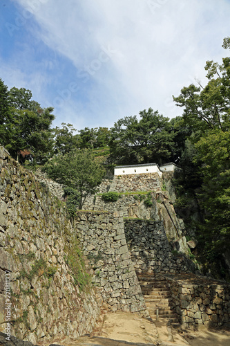 晩夏の備中松山城