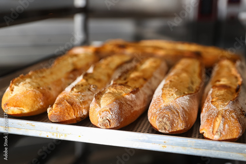 Many French baguettes on a baking sheet in the bakery